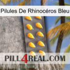 Pilules De Rhinocéros Bleu cialis1